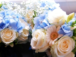 Wedding Photography Wimbledon